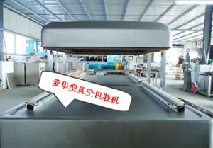 豪华型真空包装机特写